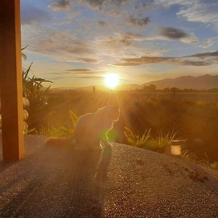 Brook House B&B & Cottages Kaikoura Ngoại thất bức ảnh