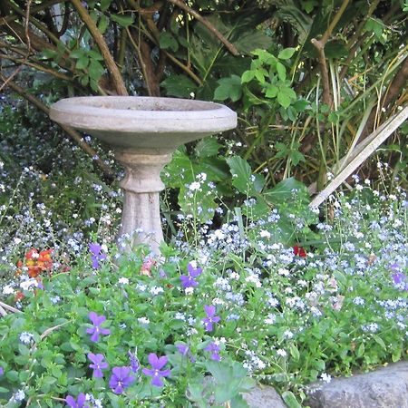 Brook House B&B & Cottages Kaikoura Ngoại thất bức ảnh