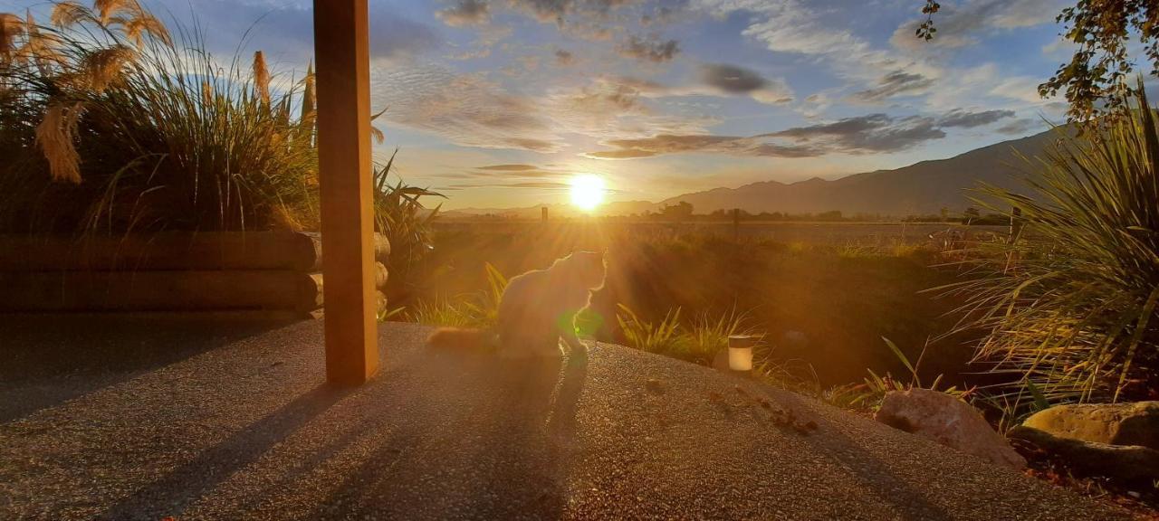 Brook House B&B & Cottages Kaikoura Ngoại thất bức ảnh