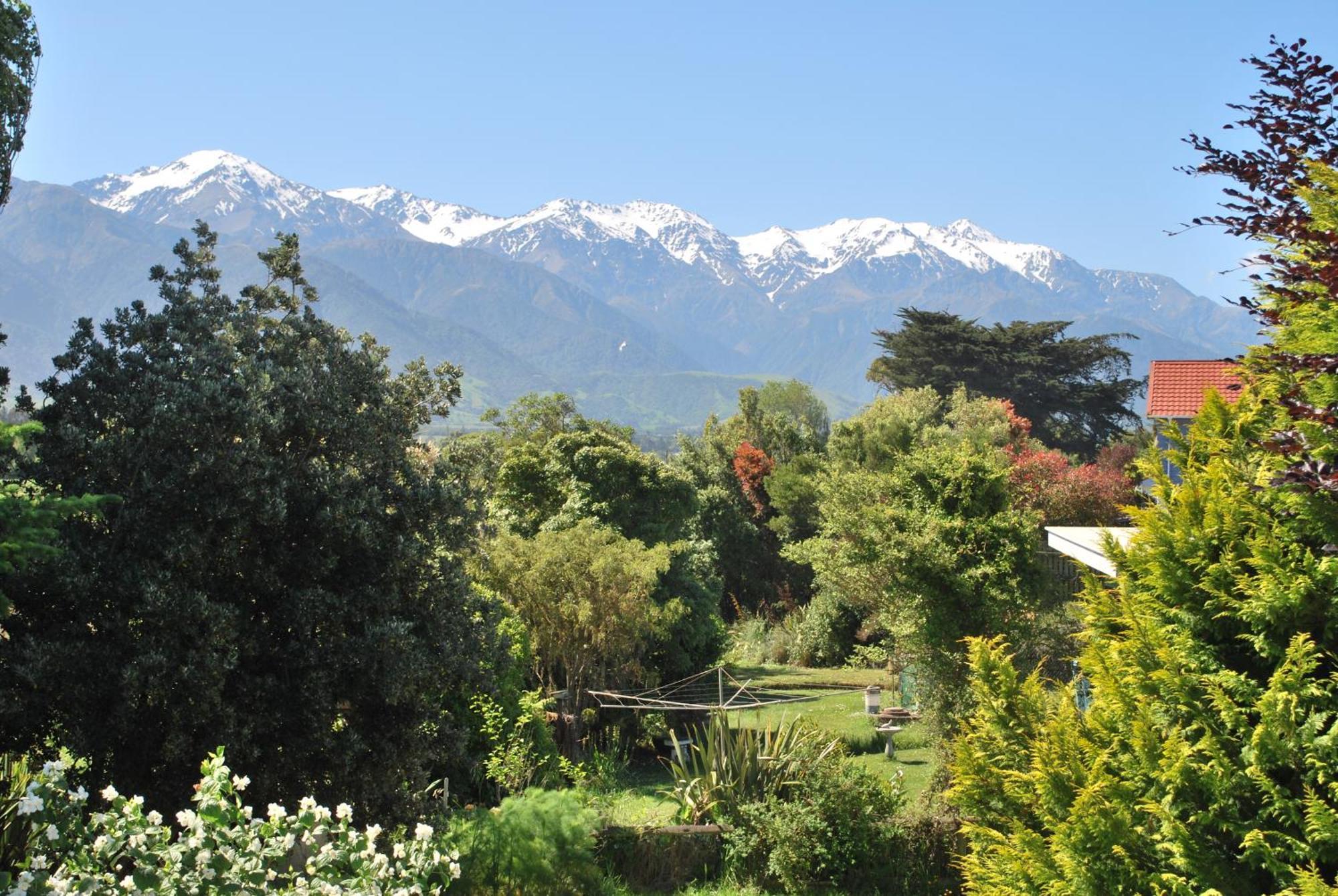 Brook House B&B & Cottages Kaikoura Ngoại thất bức ảnh