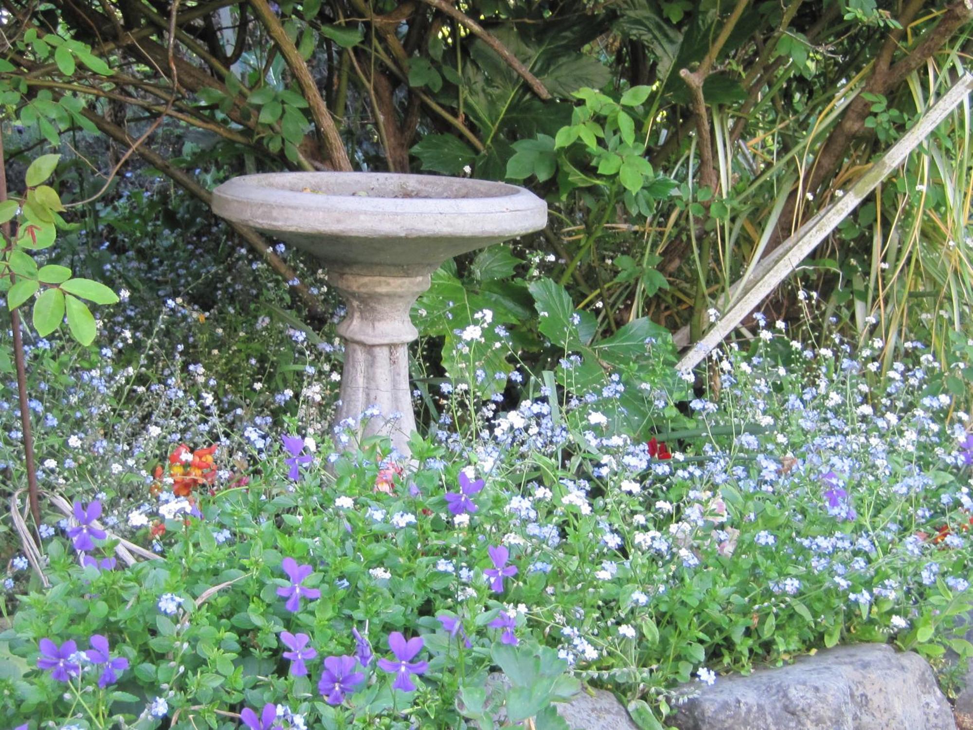 Brook House B&B & Cottages Kaikoura Ngoại thất bức ảnh